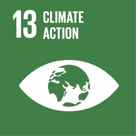 SDG Goal