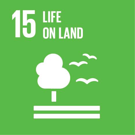 SDG Goal