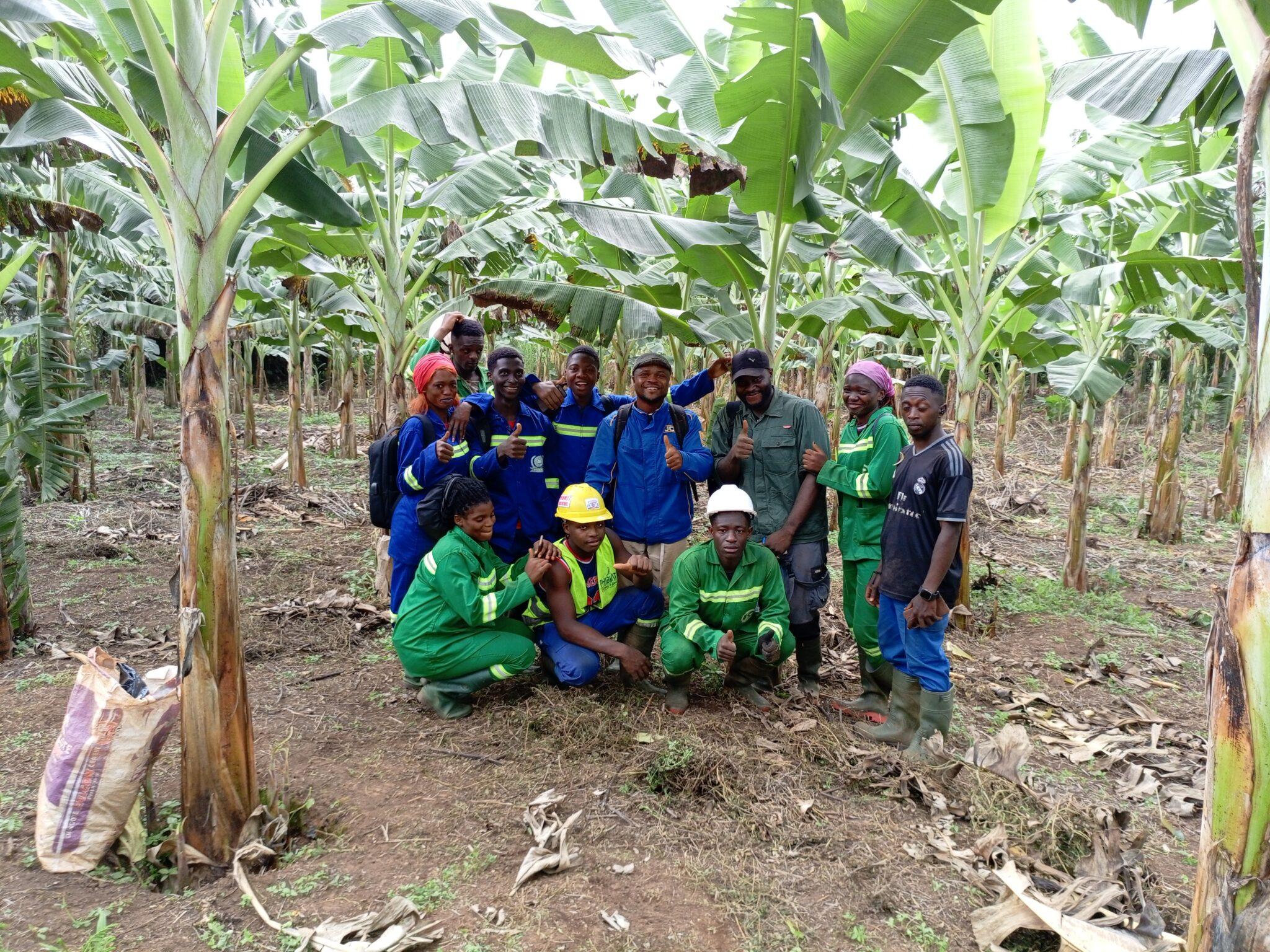 Stonefarms group