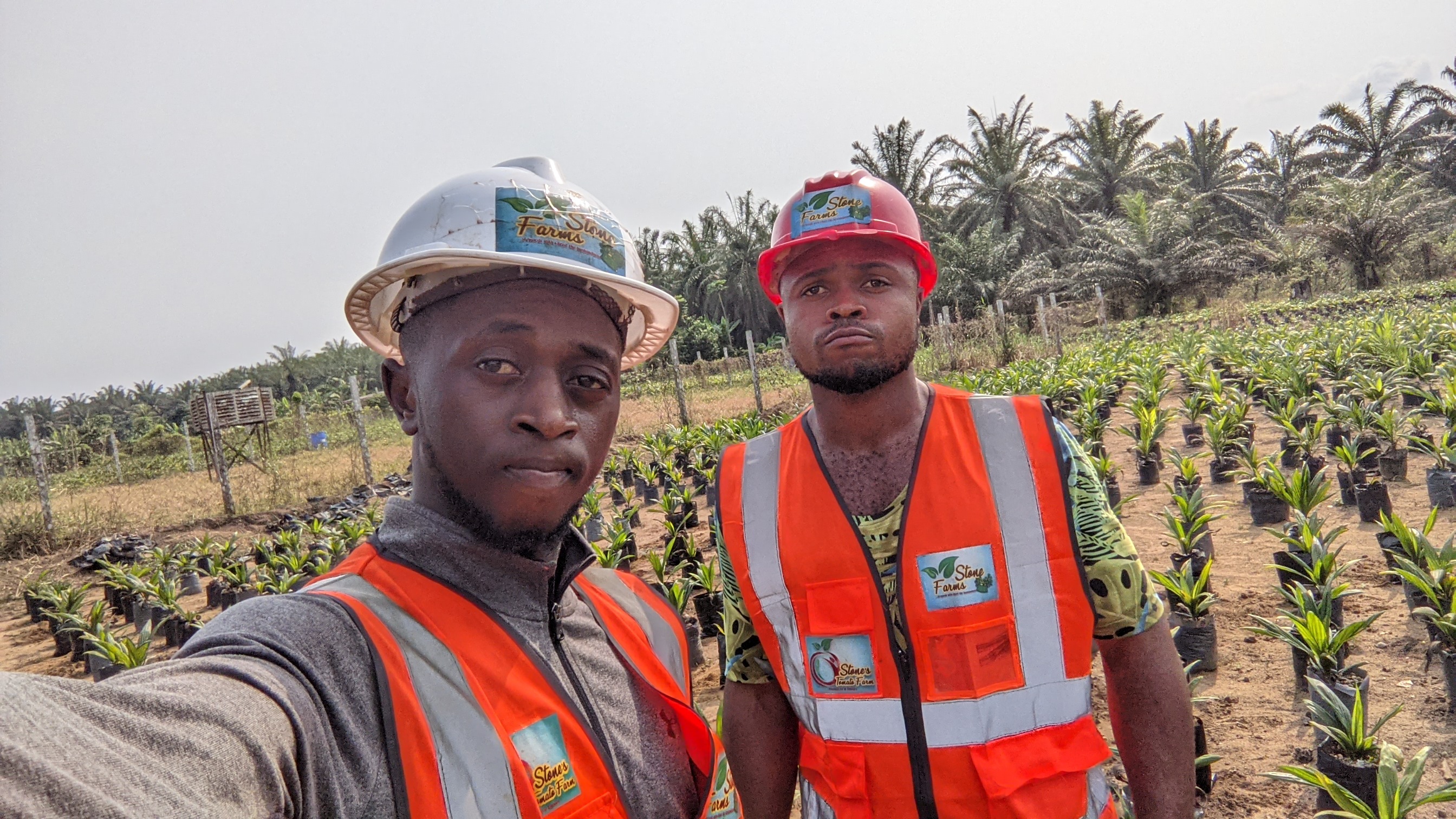 Stonefarms Impact 19