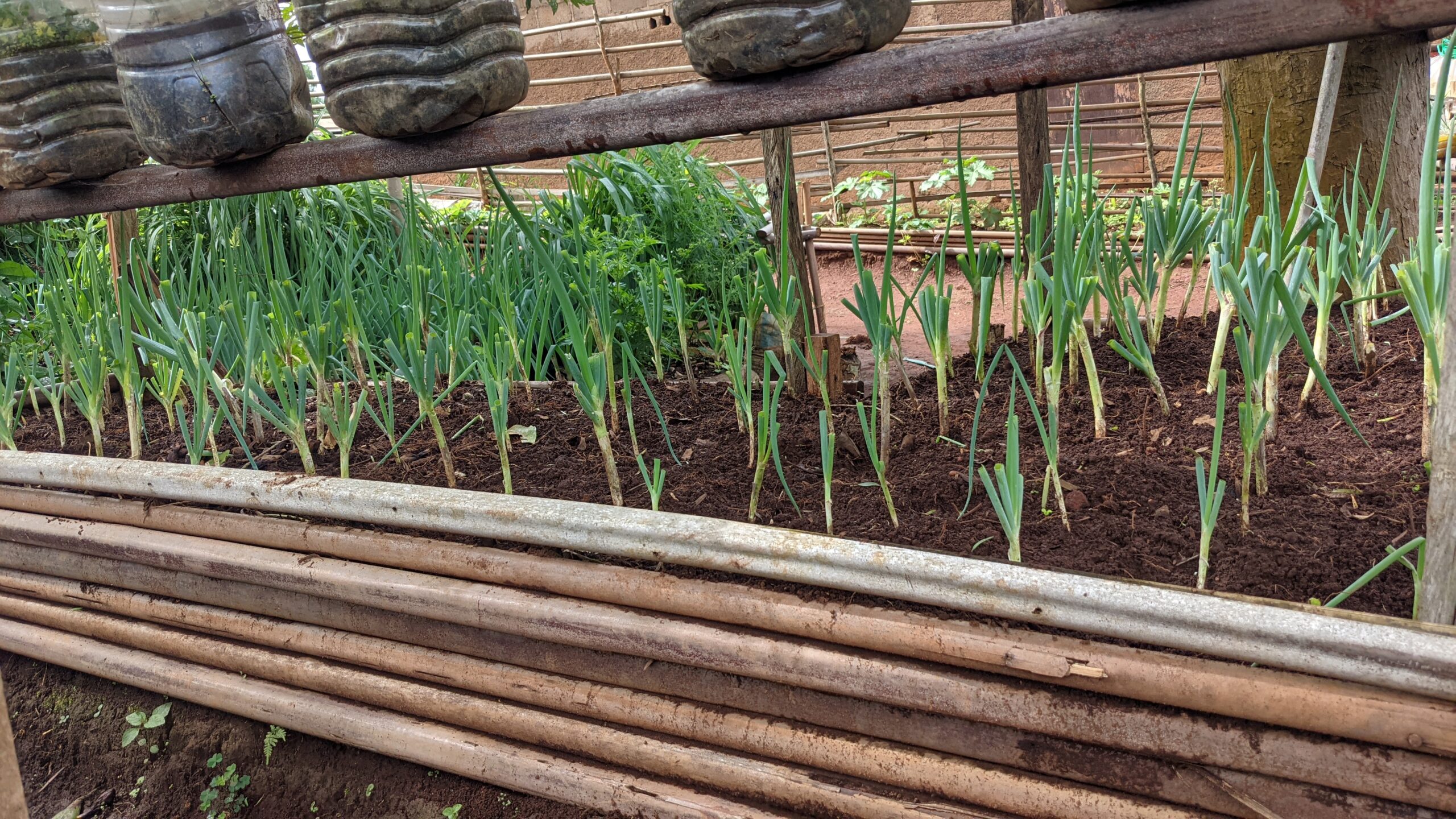 PXL_20250606_085823954[1]