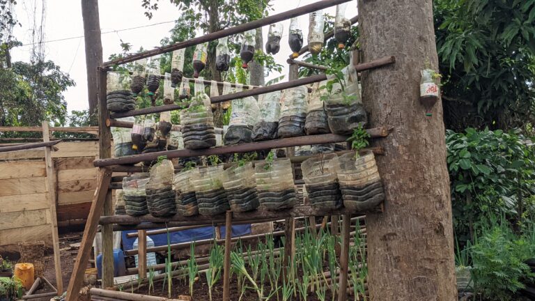 PXL_20250606_085911309.PORTRAIT[1]