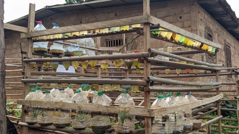 PXL_20250606_085930280.PORTRAIT[2]