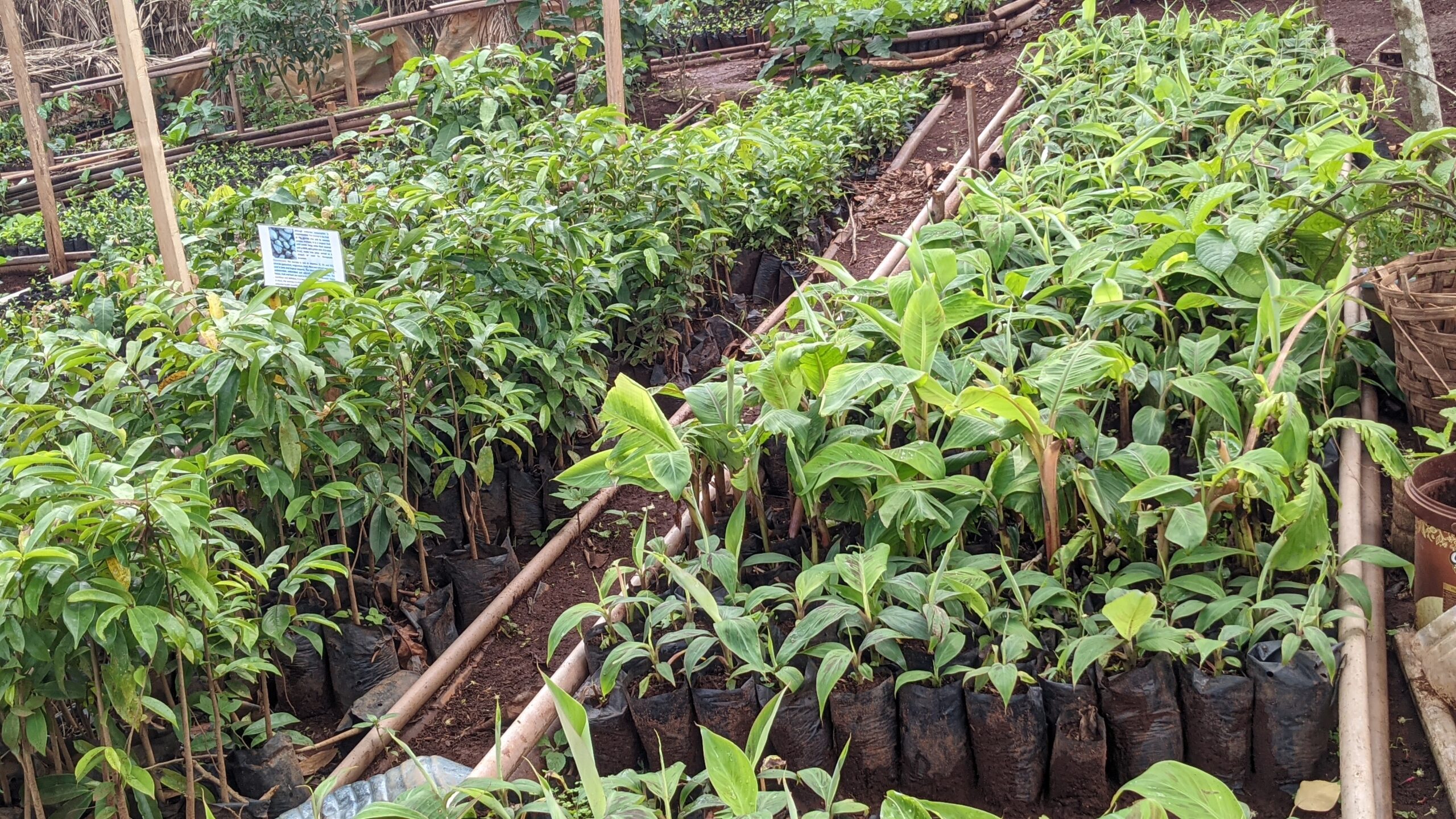 PXL_20250606_090301732.PORTRAIT[1]