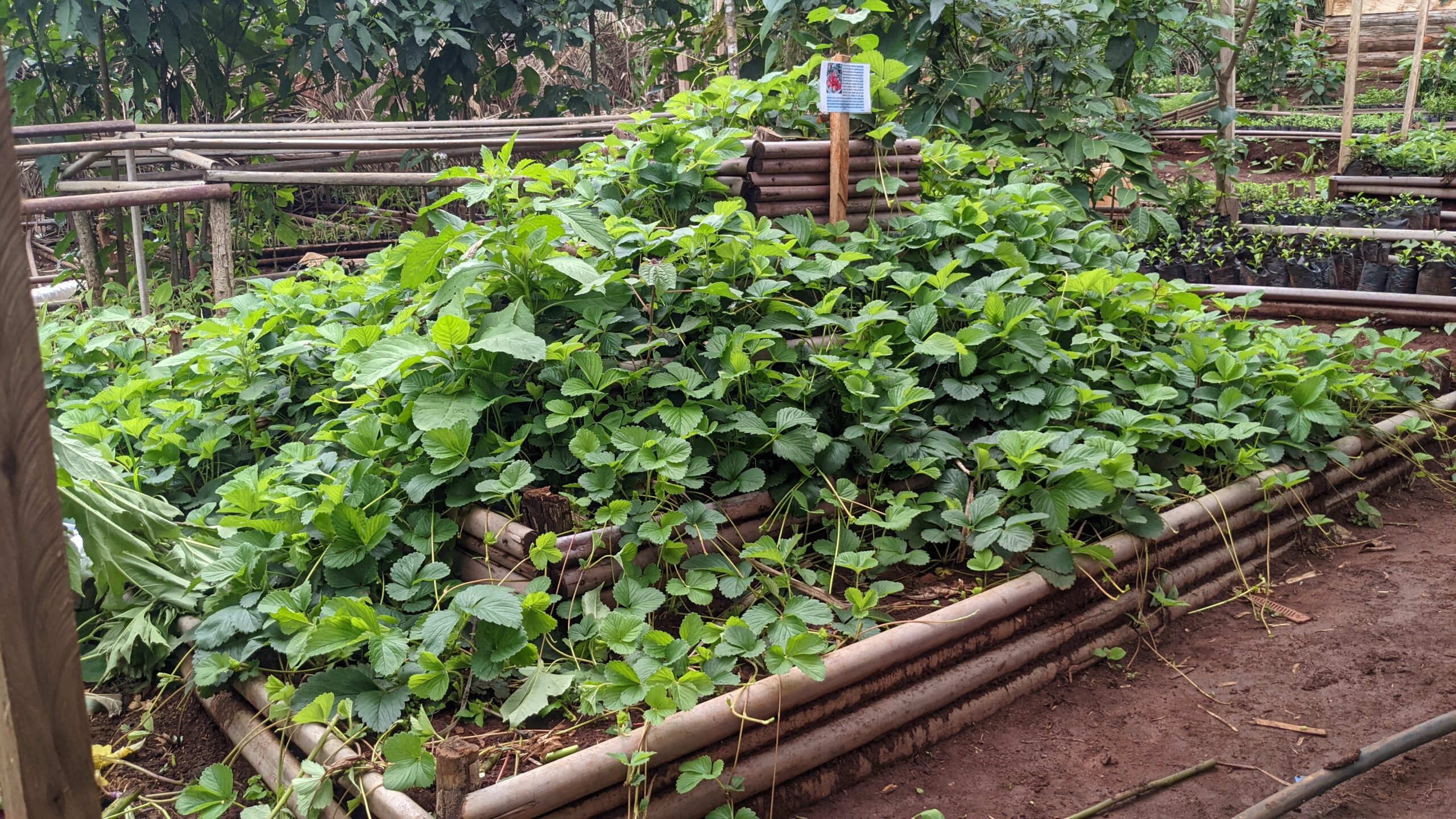 PXL_20250606_091601596[1]