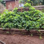 PXL_20250606_091616117[1]