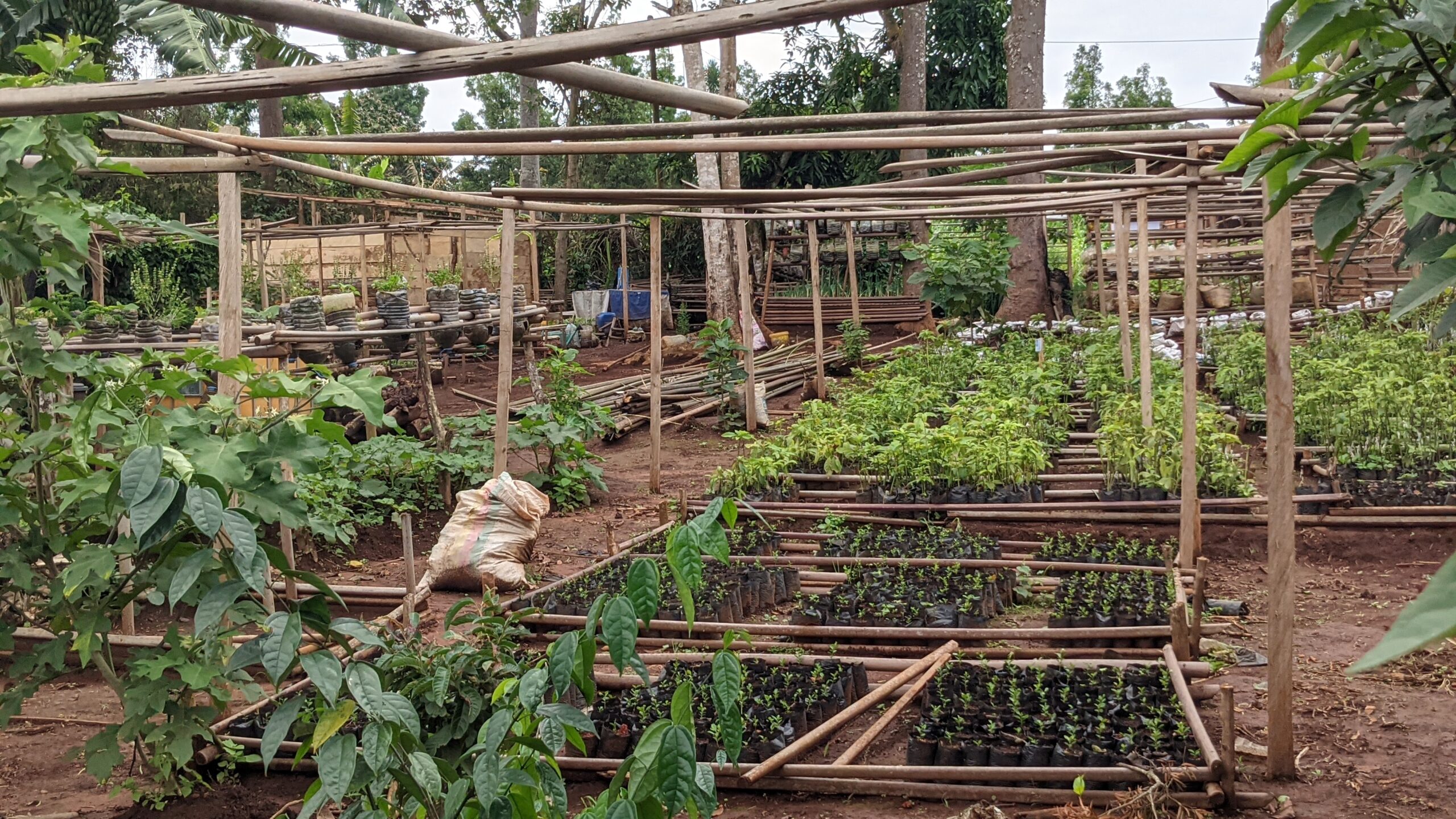 PXL_20250606_091954415.PORTRAIT[1]