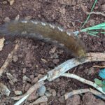 PXL_20250827_151347671.PORTRAIT