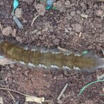 PXL_20250827_151404915.PORTRAIT